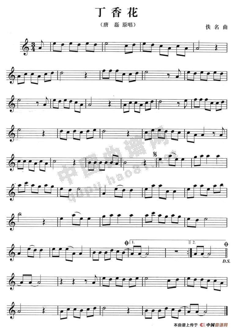 钢琴曲谱丁香花