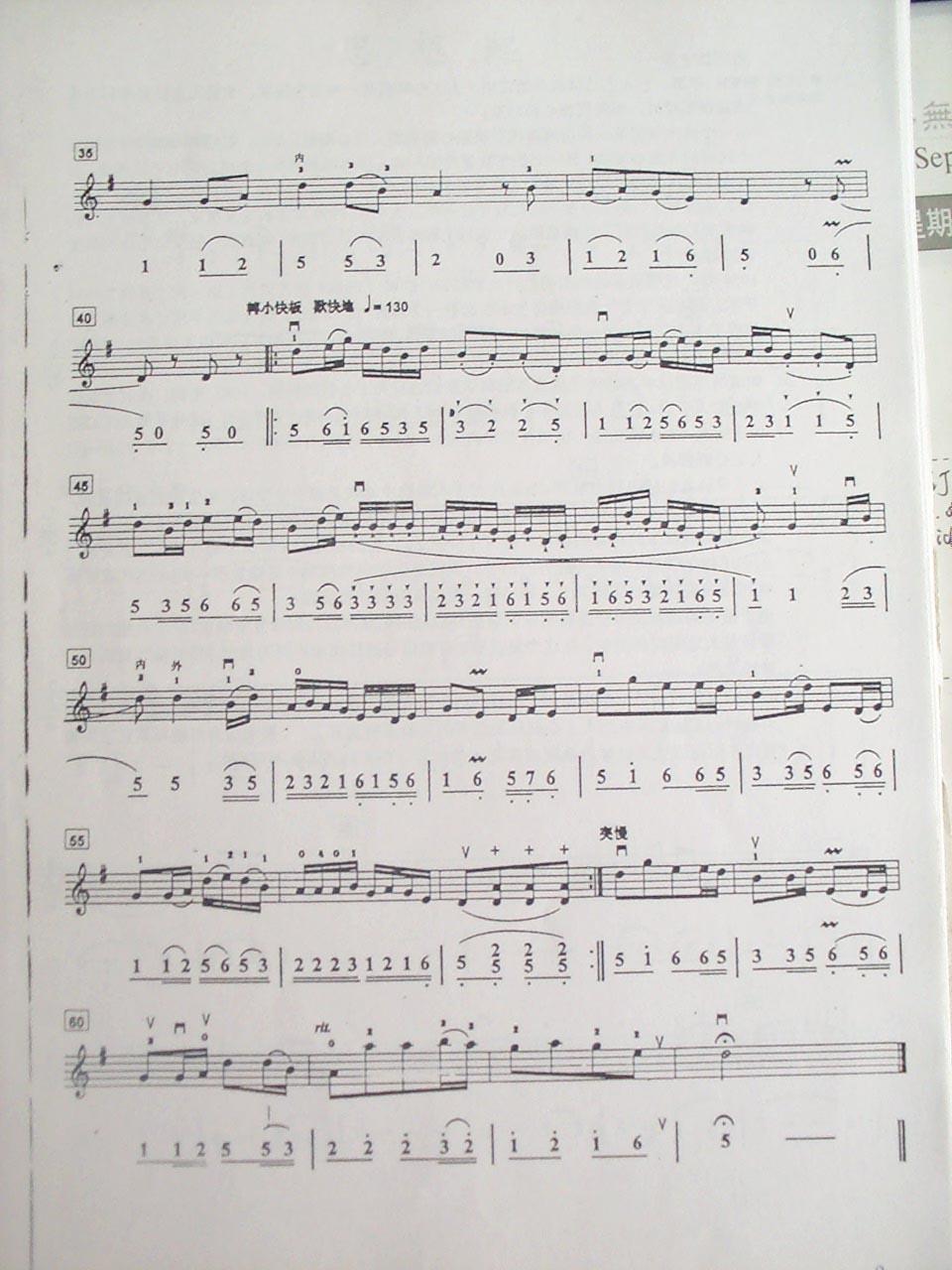 二胡独奏曲 浏阳河2