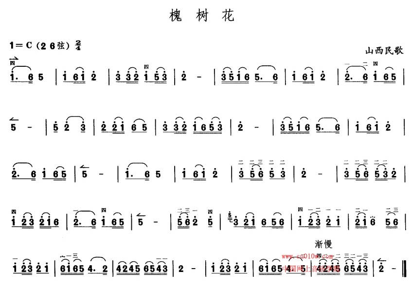 二胡曲谱槐树花下载简谱下载五线谱下载曲谱网曲谱大全中国曲谱网